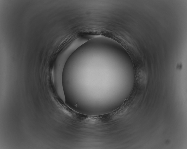 X0000097760280200803071302