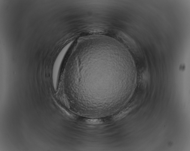 X0000097760281200803071302