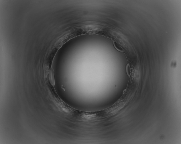 X0000097760283200803071302