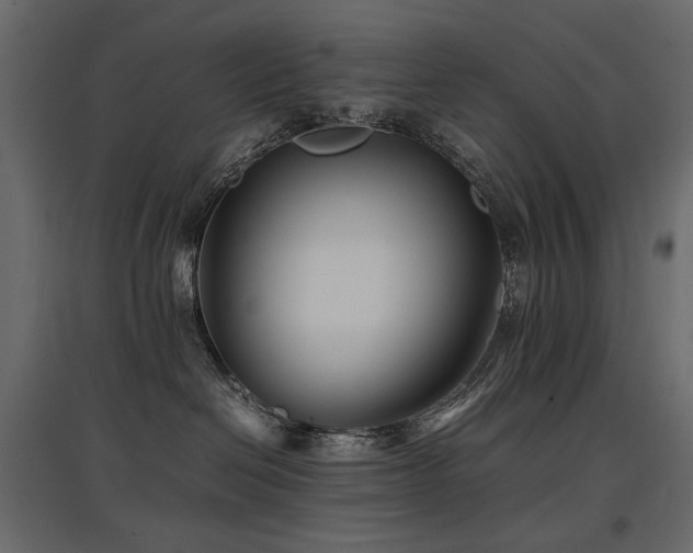 X0000097760286200803071302