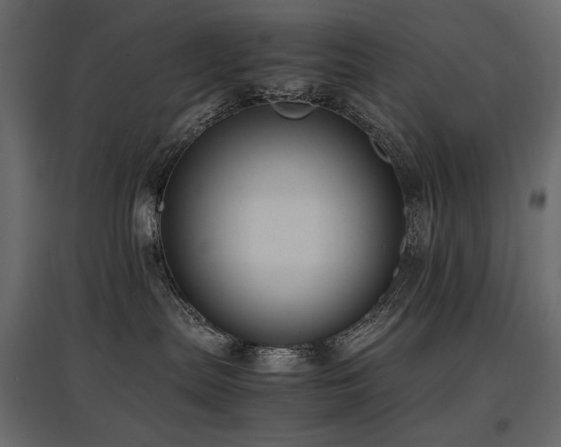 X0000097760287200803071302