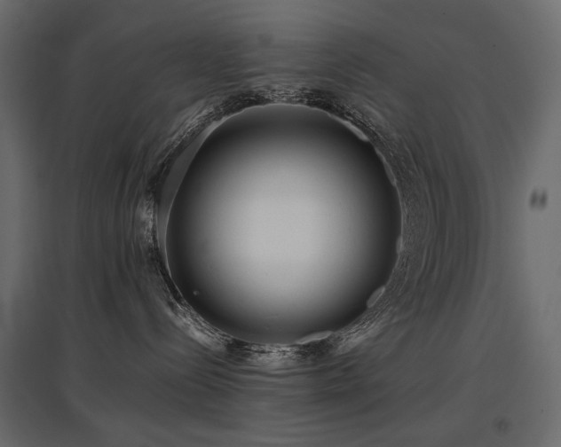 X0000097760288200803071302