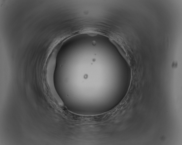 X0000097760289200803071301