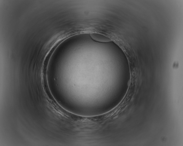 X0000097760290200803071301