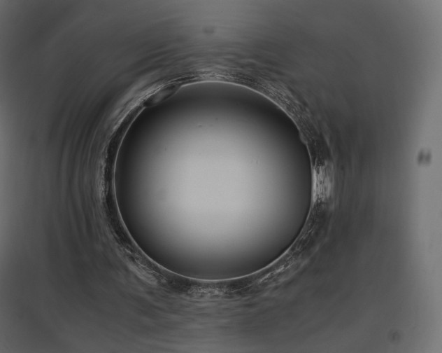 X0000097760291200803071301