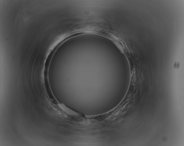 X0000097760292200803071301