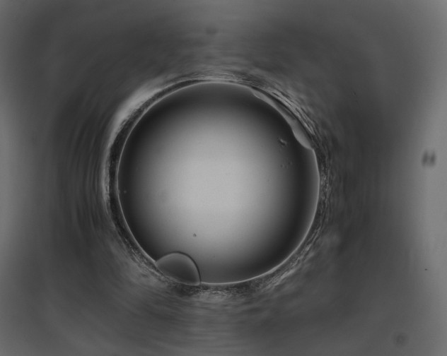 X0000097760294200803071301