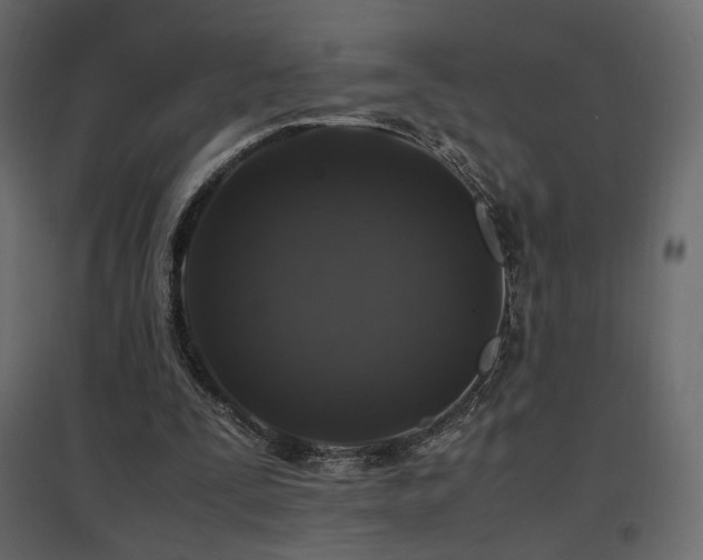 X0000097760295200803071301