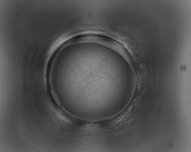 X0000097760296200803071301