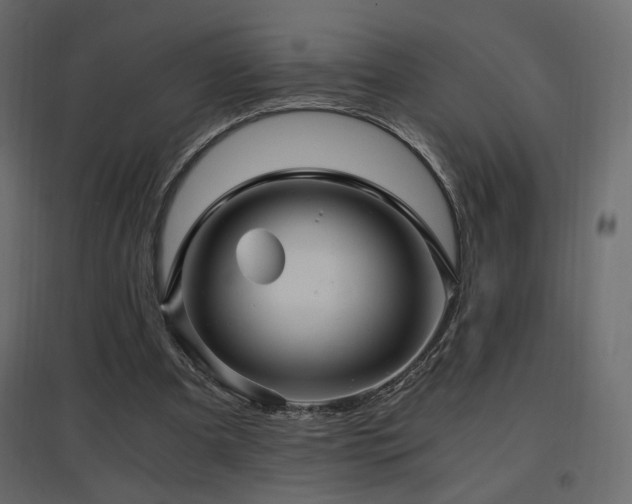 X0000097760297200803071301