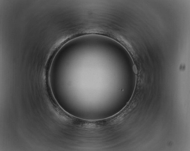 X0000097760298200803071301