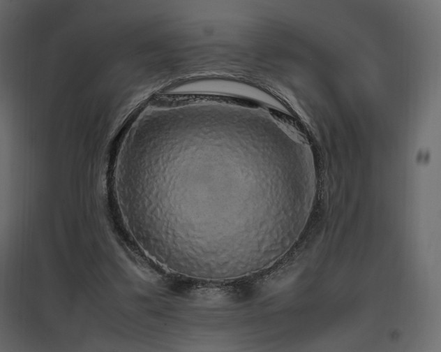 X0000097760299200803071301