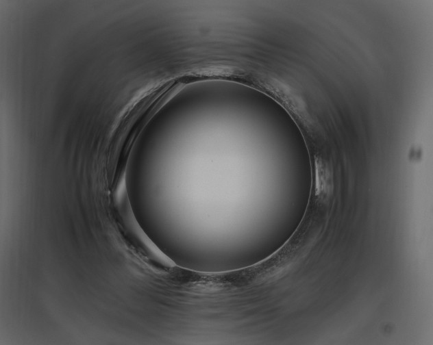 X0000097760300200803071301