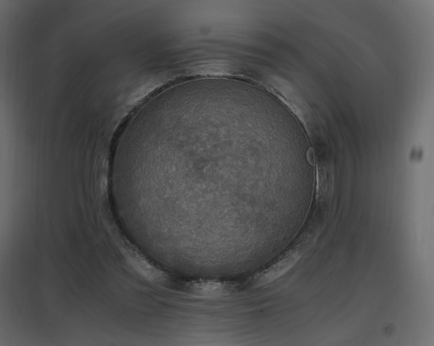 X0000097760301200803071301