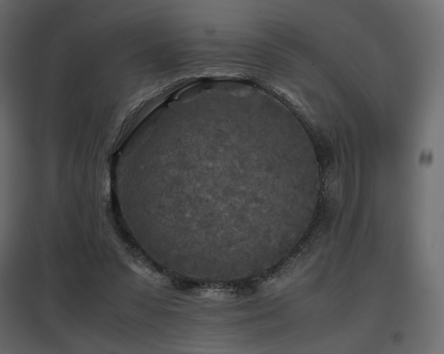 X0000097760303200803071301