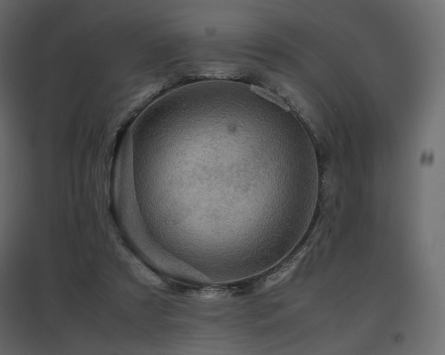 X0000097760305200803071301