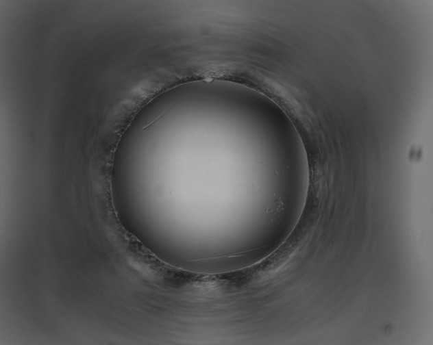 X0000097760307200803071301