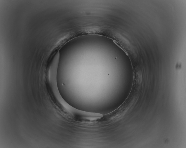 X0000097760308200803071301