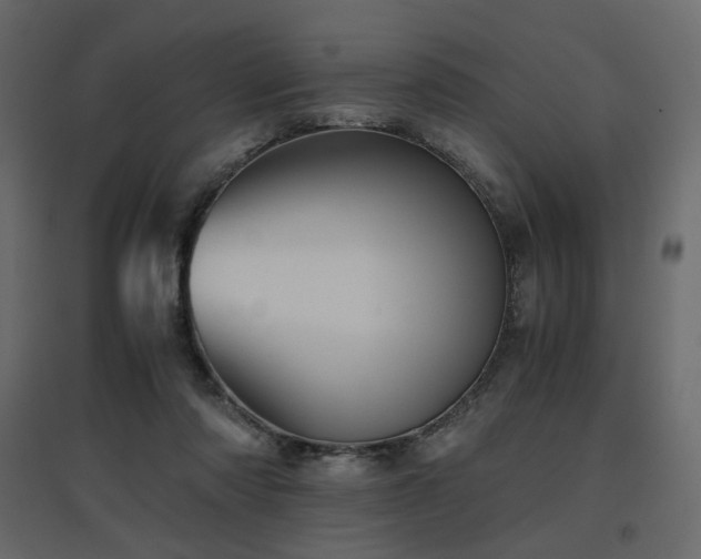 X0000097760310200803071301