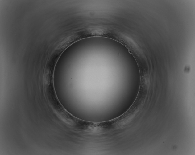 X0000097760311200803071301