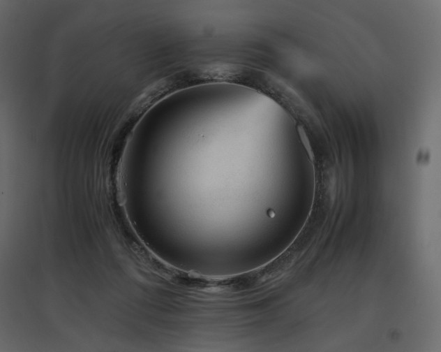 X0000097760312200803071301