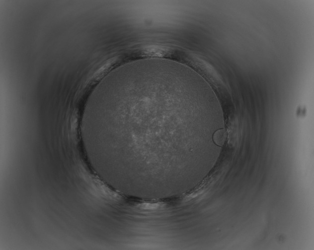 X0000097760314200803071301