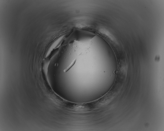 X0000097760315200803071301