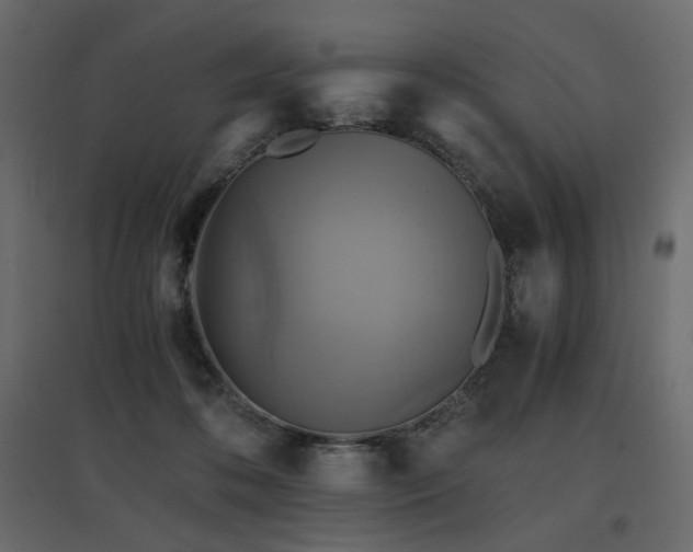 X0000097760316200803071301