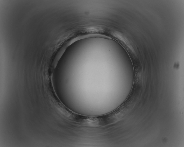 X0000097760317200803071301