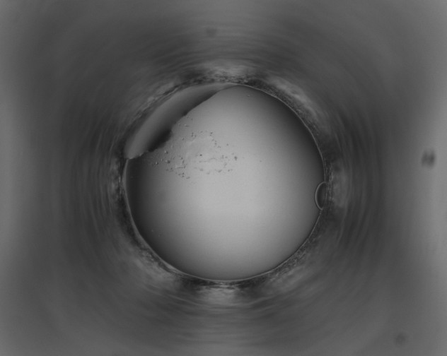 X0000097760318200803071301