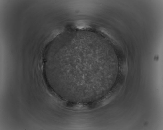 X0000097760319200803071301