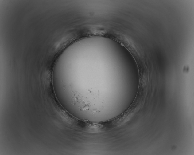 X0000097760321200803071301