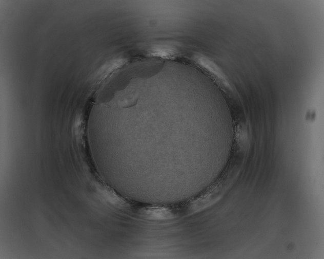 X0000097760322200803071301