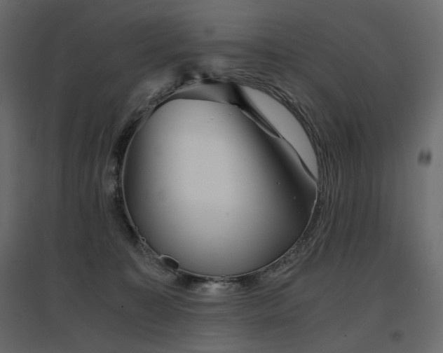 X0000097760323200803071301