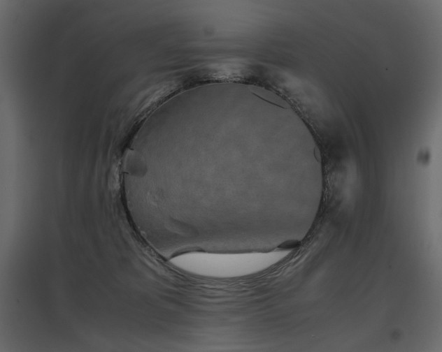 X0000097760325200803071300