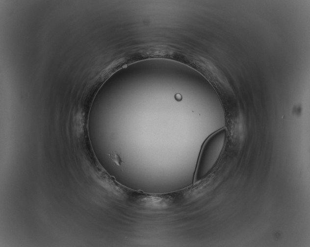 X0000097760326200803071300