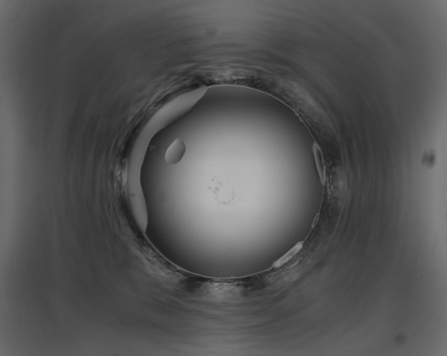 X0000097760327200803071300