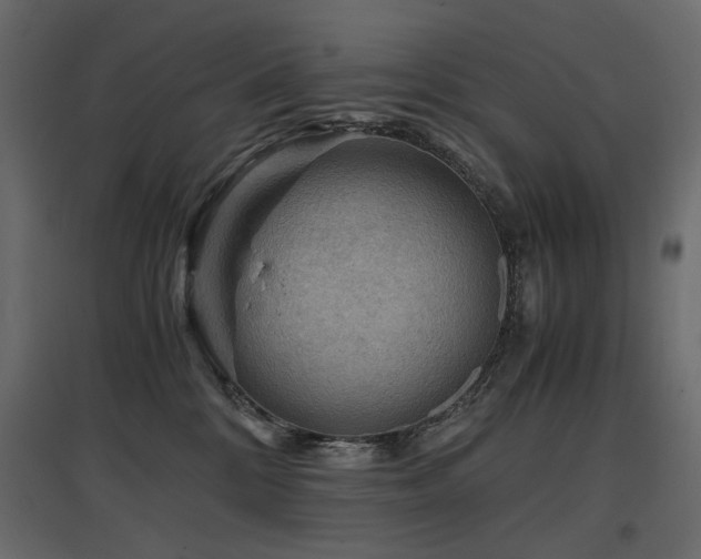 X0000097760328200803071300