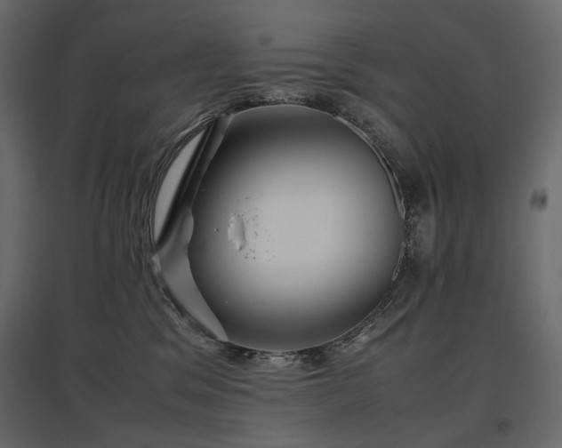 X0000097760329200803071300