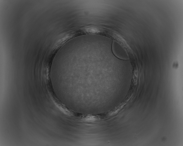 X0000097760330200803071300