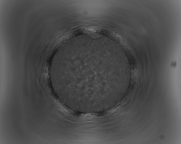 X0000097760331200803071300