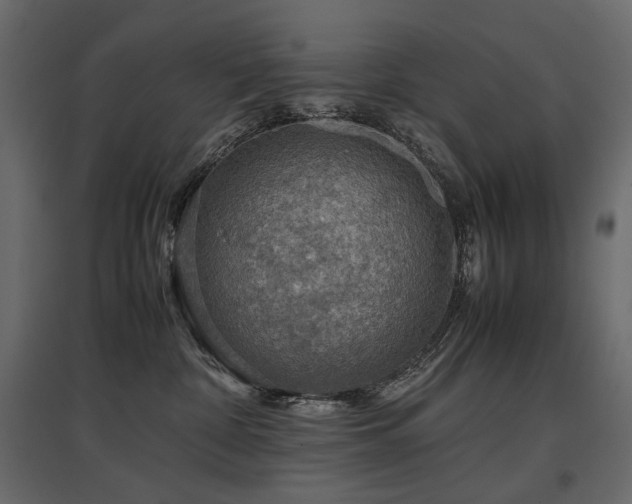 X0000097760332200803071300