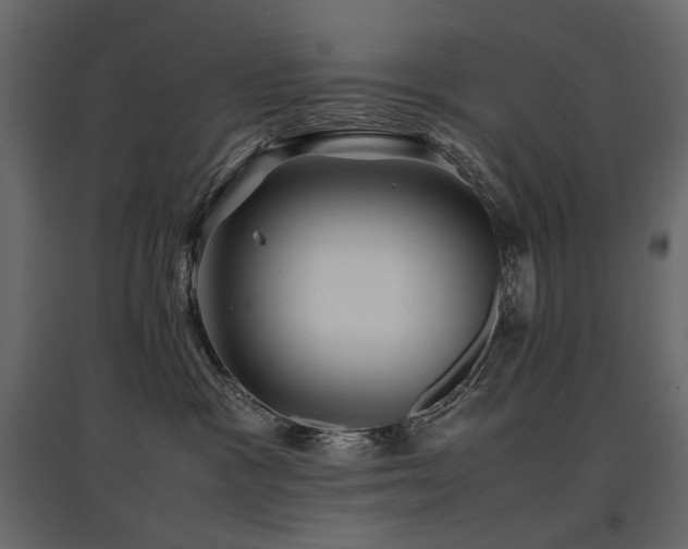 X0000097760333200803071300