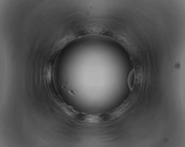 X0000097760334200803071300