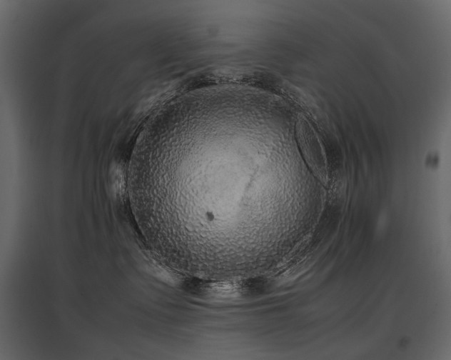 X0000097760335200803071300