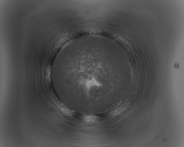 X0000097760336200803071300