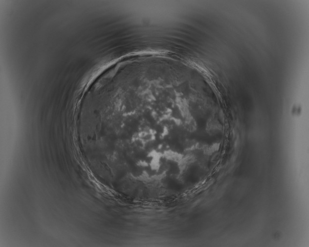 X0000097760337200803071300