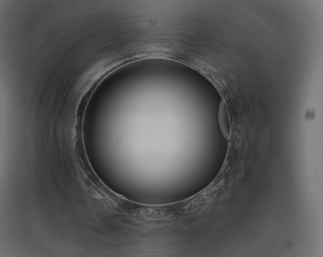 X0000097760338200803071300