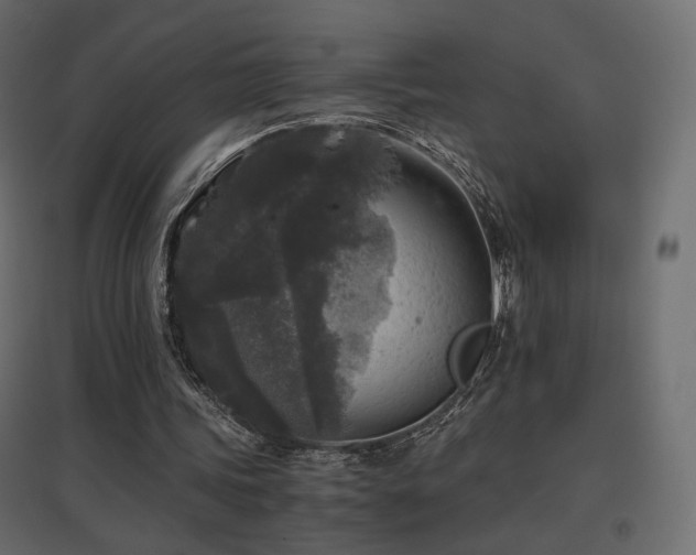 X0000097760339200803071300