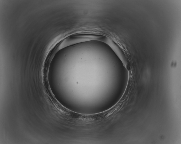 X0000097760340200803071300